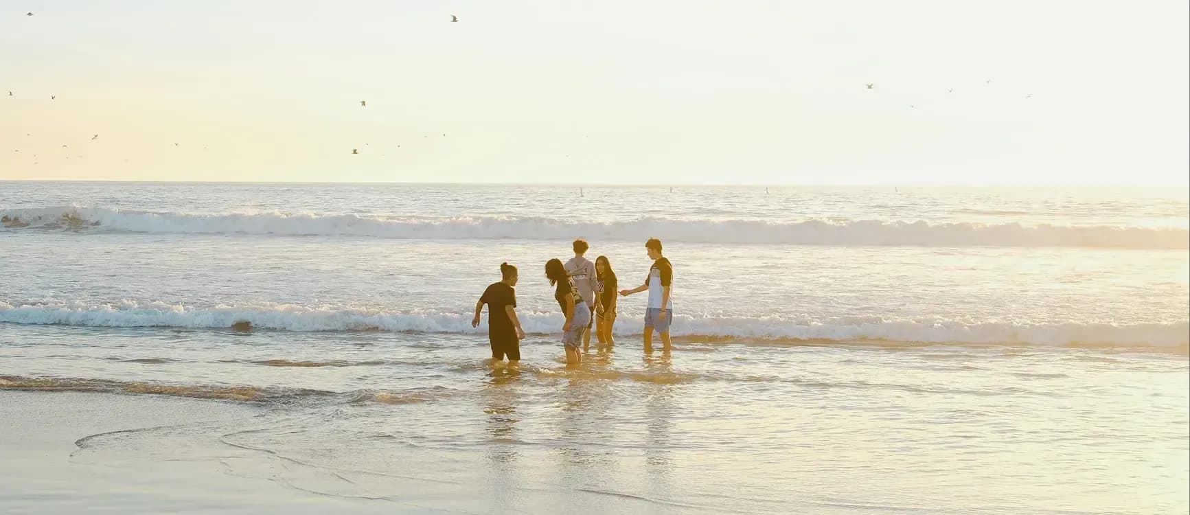 Turtle Season in Playa del Carmen: The Sacred Return to Life